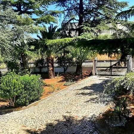Sunshine'S Casa Vacanze Ortona Dış mekan fotoğraf